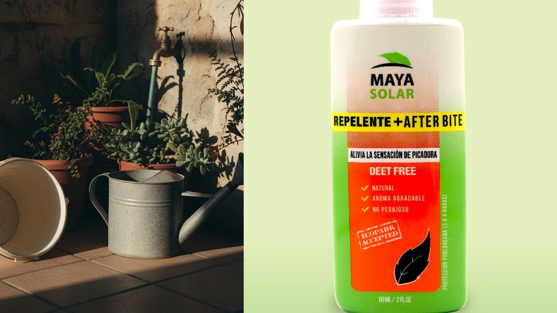 Regadera de metal, cubeta y macetas en un patio con luz de la tarde, junto al Repelente Natural AfterBite 60 ml de Maya Solar