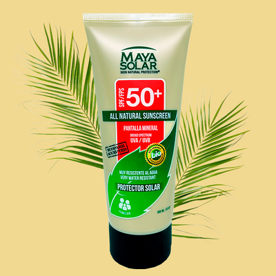 mayasolar.mx – Maya Solar